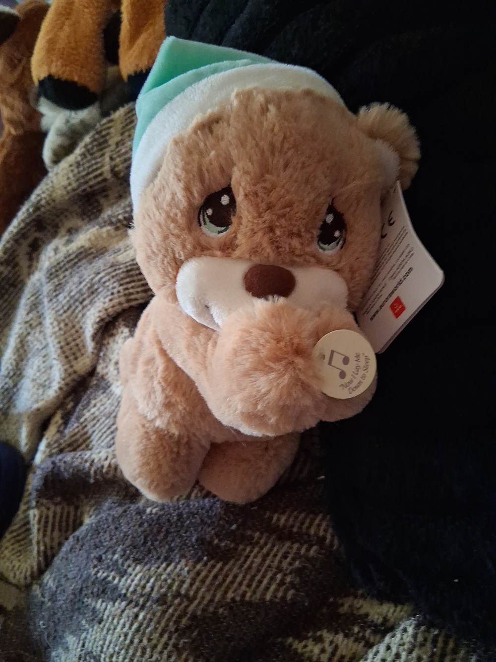 Plush Tan Bear with Mint Hat - Soft Kids Toy